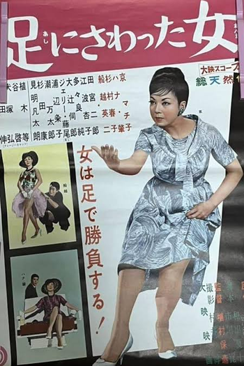 Poster de Filme Lady pickpocket (1960)