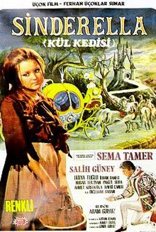 Poster 1 de Filme Sinderella Külkedisi (1971)