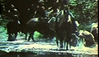Sasquatch - The Legend Of Bigfoot 1977