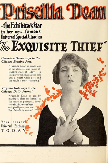 Poster de Filme The Exquisite Thief (1919)