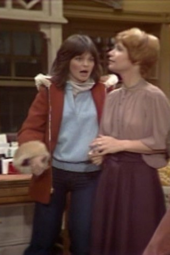 Poster de Episódio The Married Man (Part 1) (1979)