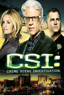 CSI: Investigação Criminal (14ª Temporada) - Poster / Capa / Cartaz - Oficial 2