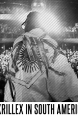 Skrillex na América do Sul (Skrillex in South America)