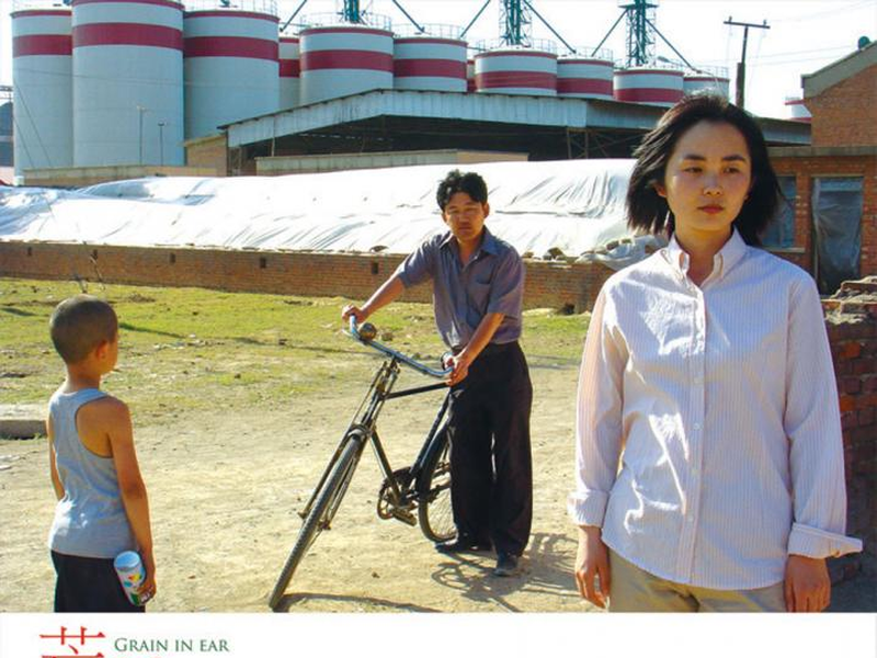 Foto 1 de Grãos de Areia