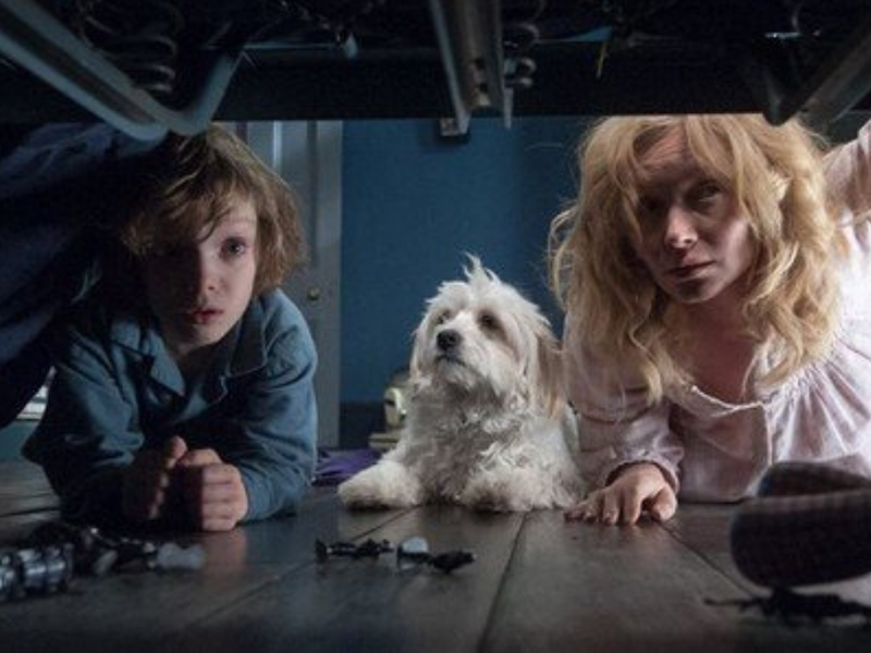 Foto 4 de O Babadook