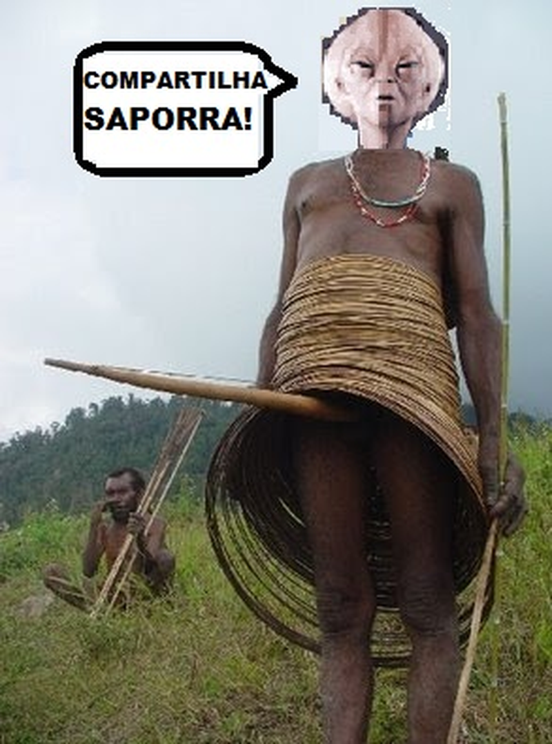 Inseminador de torrents - Foto 2