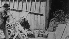 Auguste & Louis Lumière: Le scieur de bois mélomane (1897)