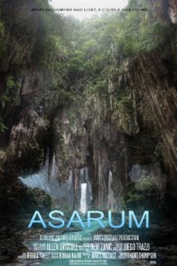 Poster de Filme Asarum (2016)
