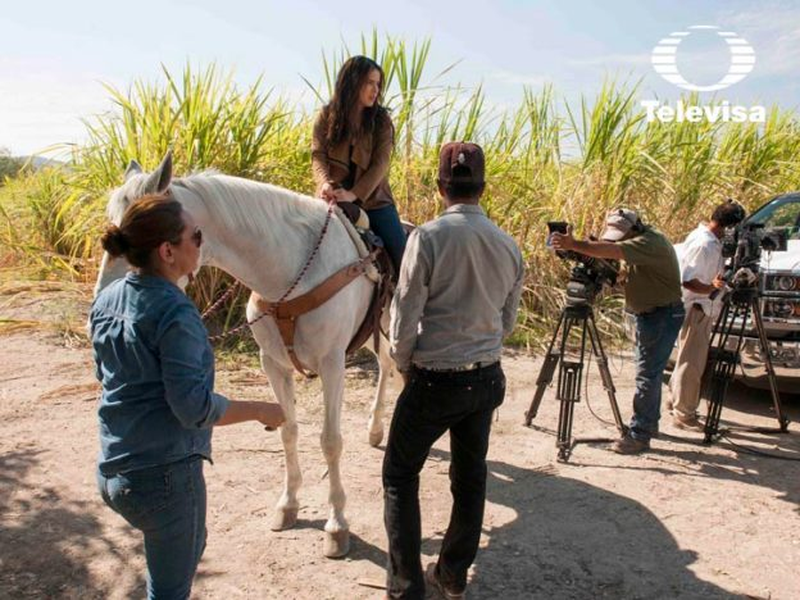 Foto 76 de Las Amazonas