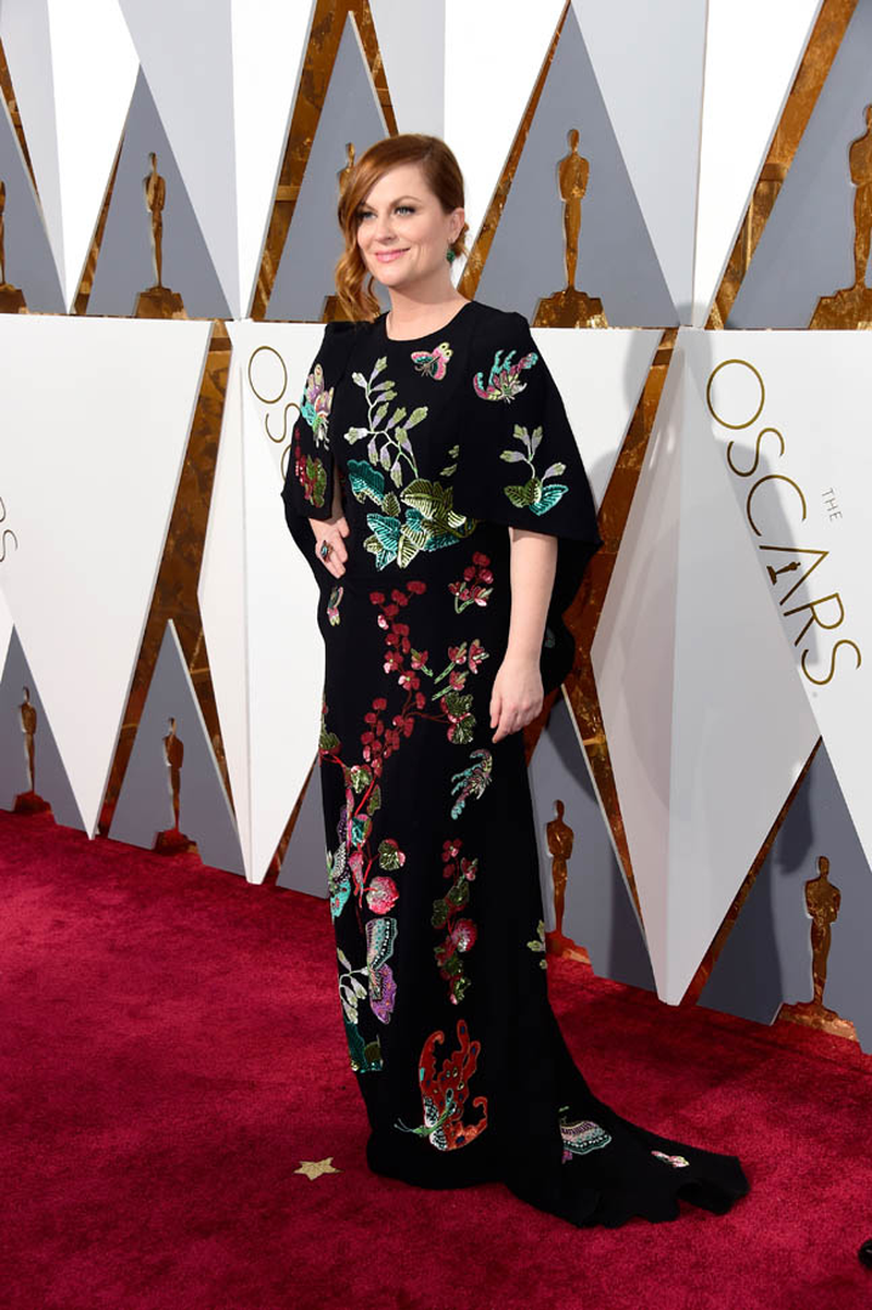 Amy Poehler - Foto 6
