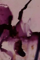 Persian Series #17 (Persian Series #17)