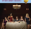 The Real Housewives of New Jersey (2ª Temp.)