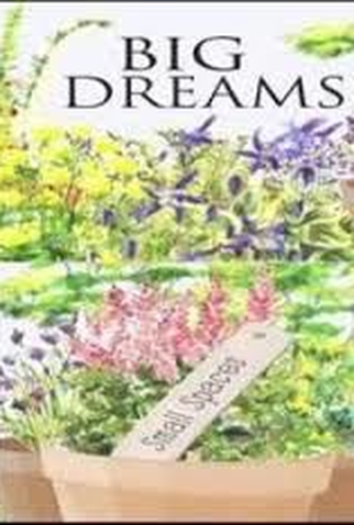 Poster 1 de Série Big Dreams Small Spaces (2018)