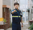 똥개의 전략