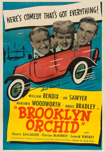 Orquídea do Brooklyn (Brooklyn Orchid)