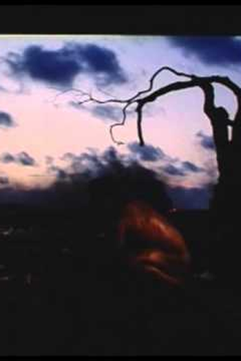 Poster de Curta Gravidade (2006)