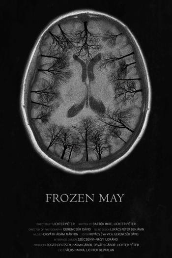 Poster de Filme Frozen May (2017)