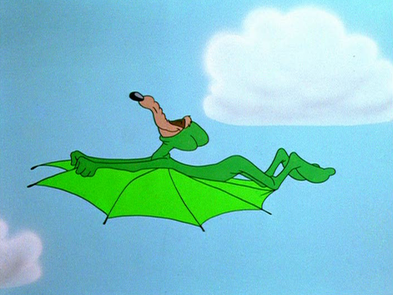 Foto 4 de Coyote Azarado