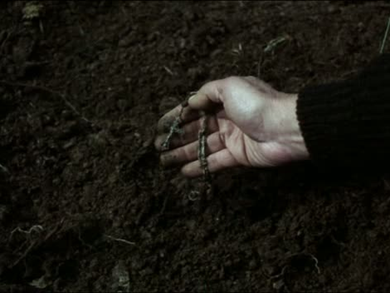 Foto 8 de El bosque del lobo