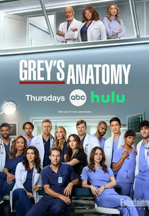 A Anatomia de Grey (22ª Temporada) (Grey's Anatomy (Season 22))