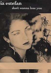 Gloria Estefan: Don't Wanna Lose You (Gloria Estefan: Don't Wanna Lose You)