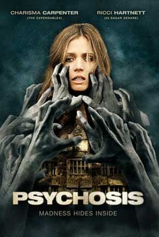Poster 2 de Filme Psychosis (2010)