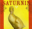 Les Aventures de Saturnin
