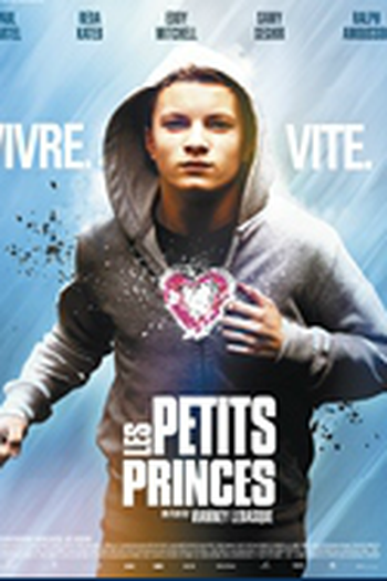 Poster de Filme Pequenos príncipes (2013)