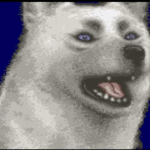 Foto de perfil de Carlos