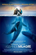 O Grande Milagre (Big Miracle)