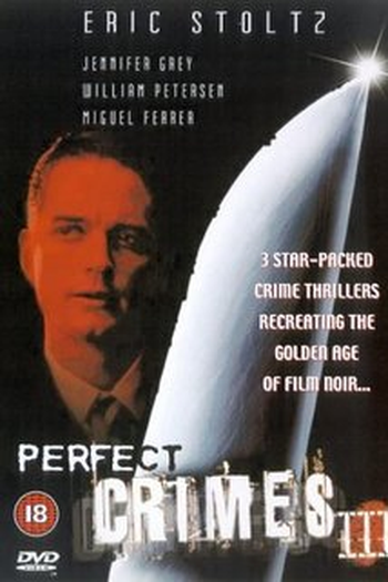 Poster de Filme Crimes Silenciosos 3 (1995)
