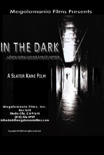 In the Dark - Poster / Capa / Cartaz - Oficial 1