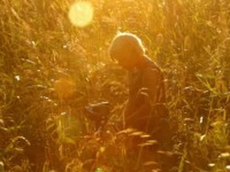 Foto 3 de O Bom Filho