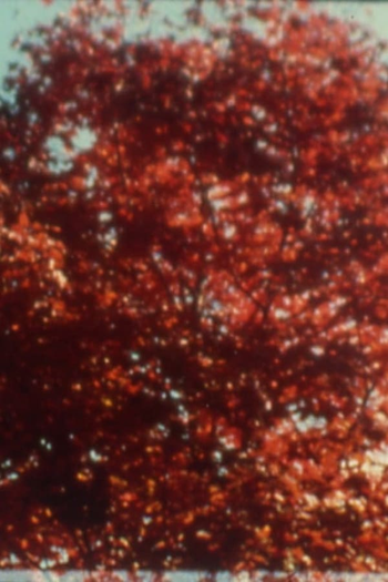 Poster de Curta Burning (2002)