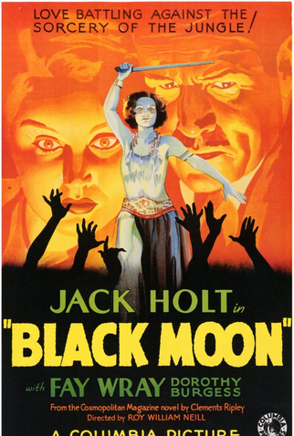 Poster 1 de Filme Lua Negra (1934)