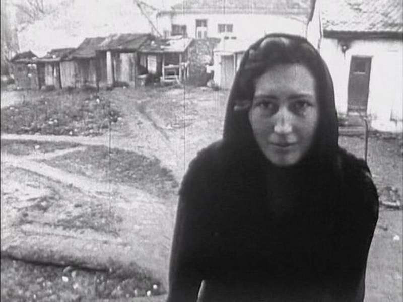 Foto 3 de Tríptico da Matéria e da Morte