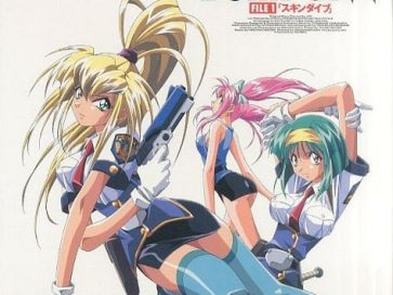 Foto 2 de Equipe Warrior