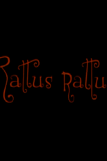 Rattus rattus (Rattus rattus)