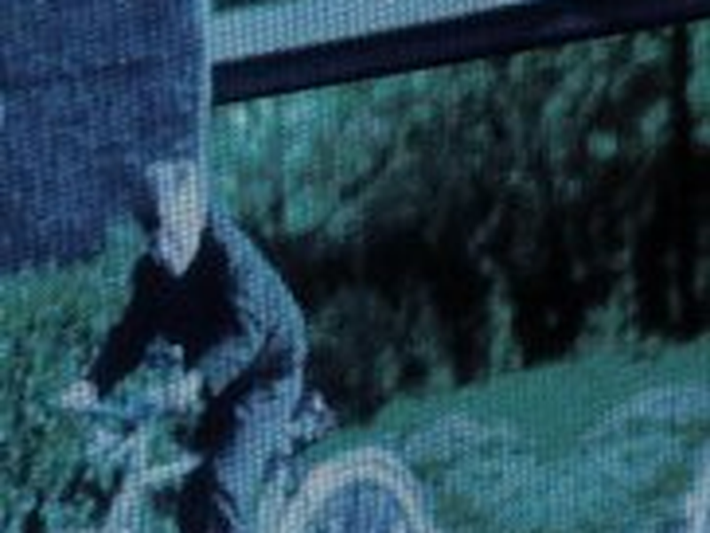 Foto 1 de Matrjoschka