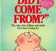 Where Did I Come From?