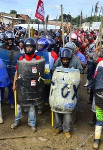 Derrubaram o Pinheirinho (Derrubaram o Pinheirinho)