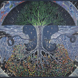 Foto de perfil de Maico Negretti