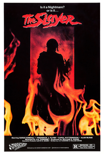 The Slayer: O Assassino - Poster / Capa / Cartaz - Oficial 1
