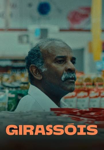 Girassóis (Girassóis)
