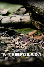 A Temporada (A Temporada)