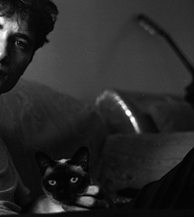 vinicius meireles - Foto 2