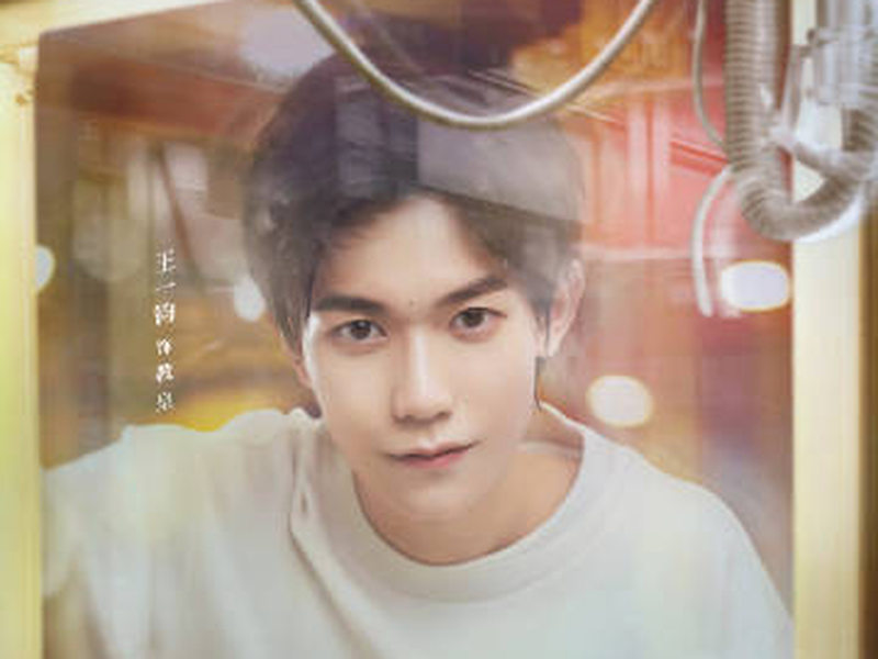 Foto 14 de Falling Into Your Smile