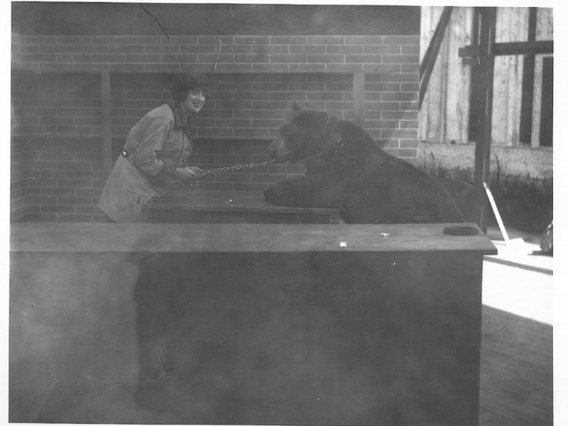 Foto 1 de Mabel's Bear Escape