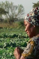 Por Conta Própria – A Segurança Social em Moçambique (Por Conta Própria – A Segurança Social em Moçambique)