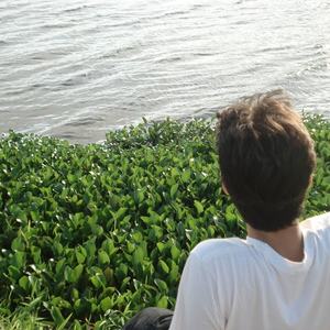 Foto de perfil de Herley Lins
